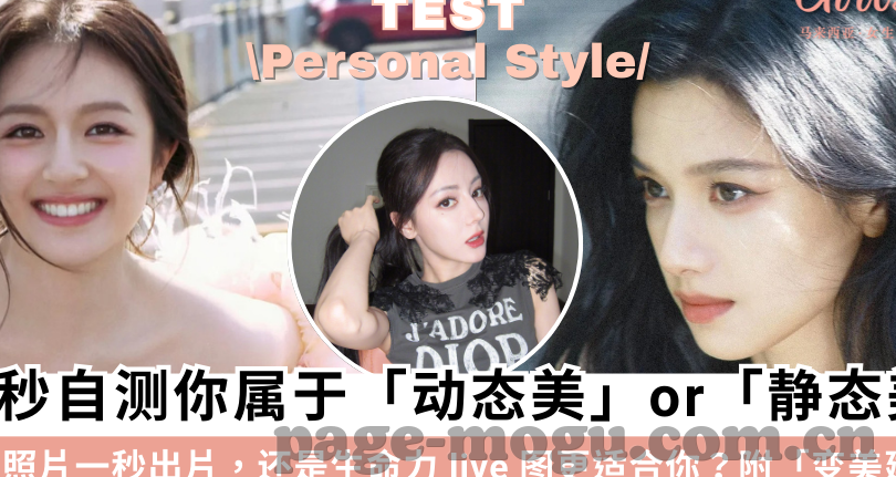 大象视频看黄网站-探索网络世界的边界，理性对待网络内容与平台