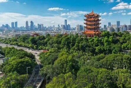 果冻传媒91何苗-探索果冻传媒91与何苗的创意交融