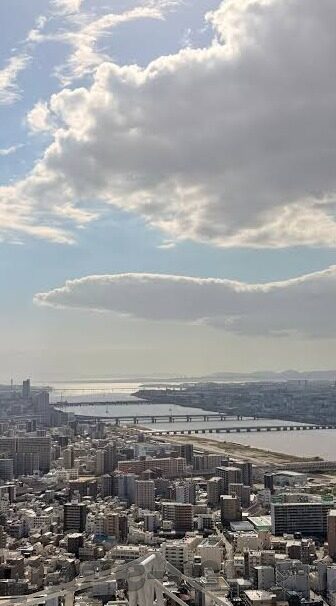 麻豆视频在哪里看-追寻麻豆视频的观影之旅，解锁小众视频的新体验