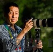 免费av在线麻豆-本文将穿越到互联网多元化的今天，去探索那些在人们口中偶尔提及又时常规避的灰色地带——免费av内容平台和麻豆现象的背后故事