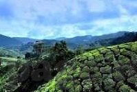 日韩在线一区二区三区免费视频-探索日韩文化新视角，一区二区三区的免费视频资源