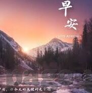 糖心app福利vlog-心动之选，糖心App福利Vlog的甜蜜探索